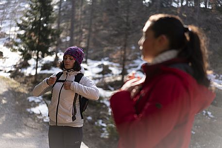 Forest Bathing - Tarvisio