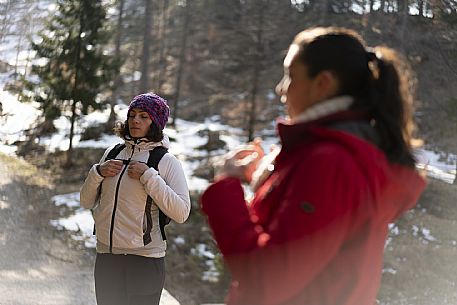 Forest Bathing - Tarvisio