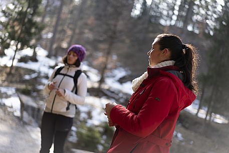 Forest Bathing - Tarvisio