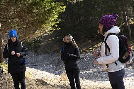 Forest Bathing - Tarvisio