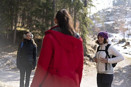 Forest Bathing - Tarvisio