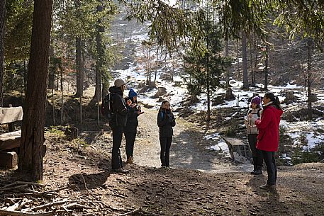 Forest Bathing - Tarvisio