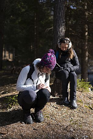 Forest Bathing - Tarvisio