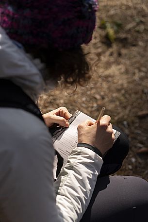 Forest Bathing - Tarvisio