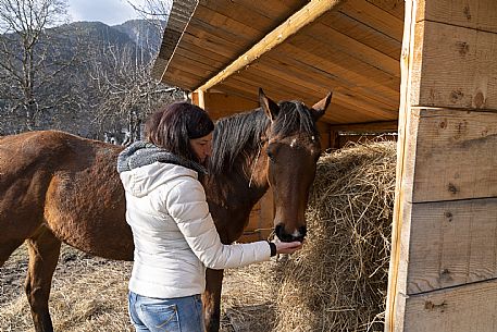 Horse Terapy - Malborghetto