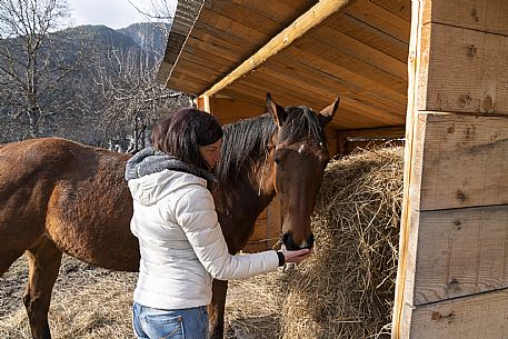 Horse Terapy - Malborghetto