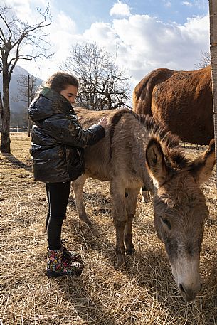 Horse Terapy - Malborghetto