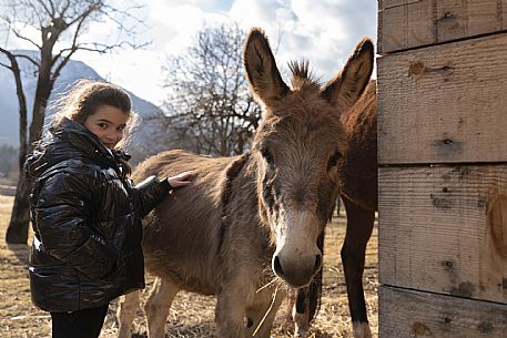 Horse Terapy - Malborghetto