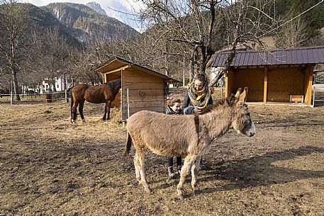 Horse Terapy - Malborghetto