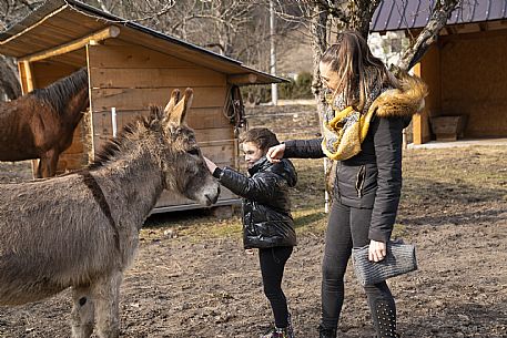 Horse Terapy - Malborghetto