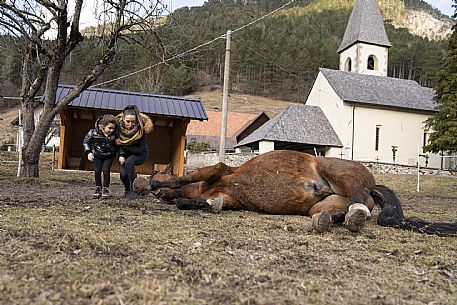 Horse Terapy - Malborghetto