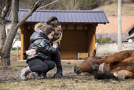 Horse Terapy - Malborghetto