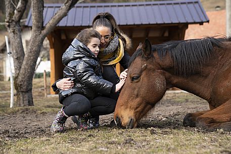 Horse Terapy - Malborghetto