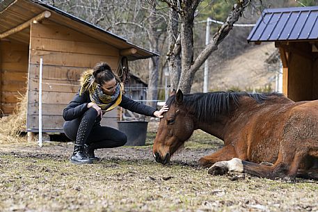 Horse Terapy - Malborghetto