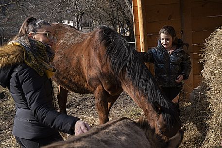 Horse Terapy - Malborghetto