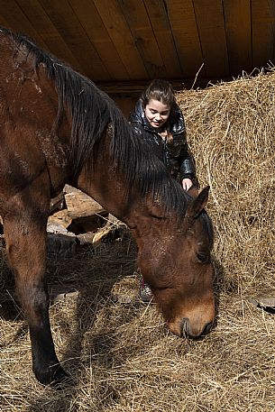 Horse Terapy - Malborghetto