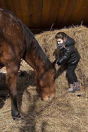 Horse Terapy - Malborghetto