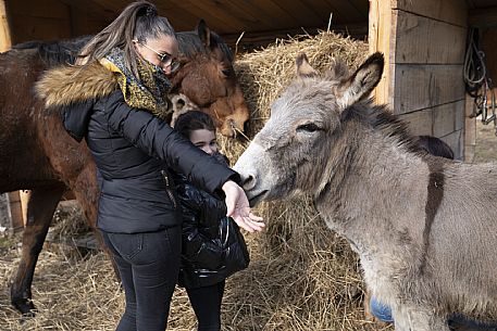 Horse Terapy - Malborghetto