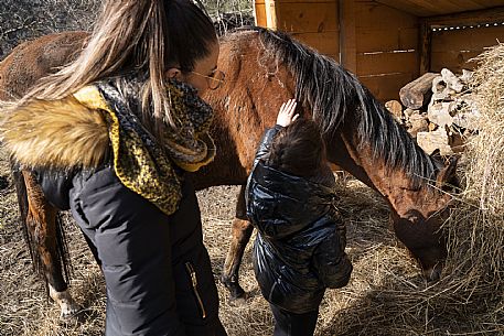 Horse Terapy - Malborghetto