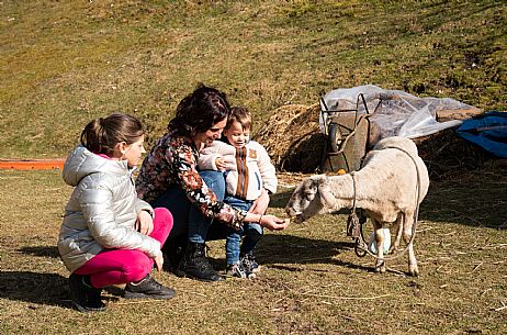 Fattoria Didattica 