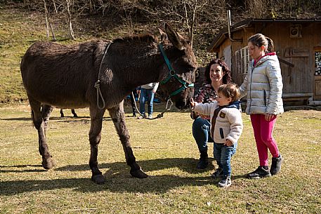 Fattoria Didattica 