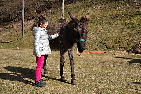 Fattoria Didattica 