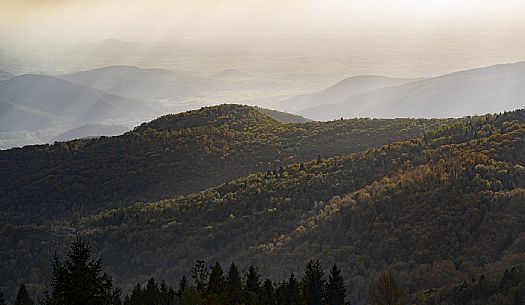 Valli del Natisone