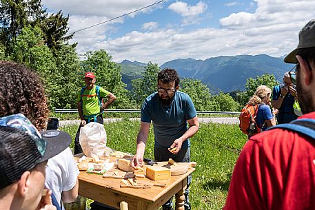 Transhumance to Monte Zoncolan