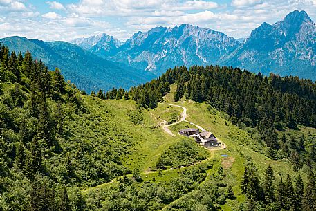 Transhumance to Monte Zoncolan