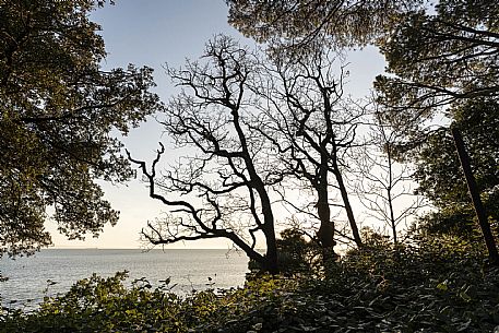 Miramare Castle