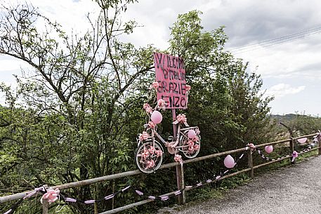Giro d'Italia in FVG