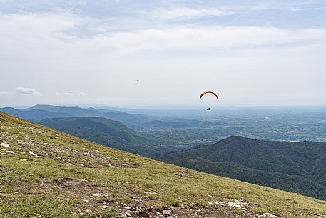 Freedome Vololibero