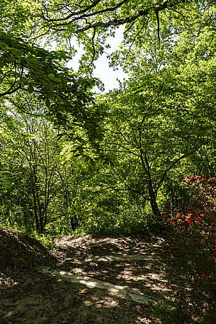 Giardino Viatori