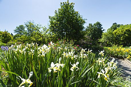 Giardino Viatori