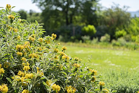 Giardino Viatori