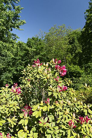 Giardino Viatori