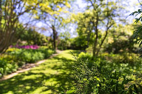 Giardino Viatori