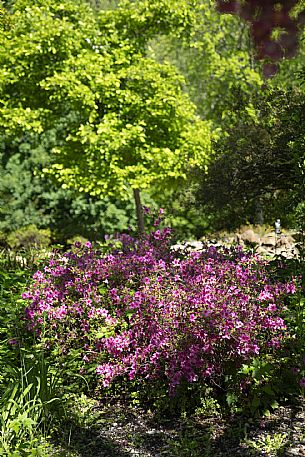 Giardino Viatori