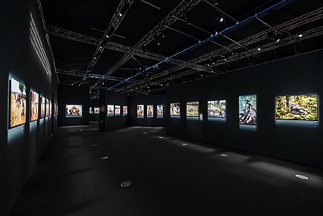 Steve Mc Curry Exhibition - Salone degli Incanti - Trieste