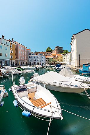 Muggia