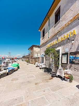 Muggia