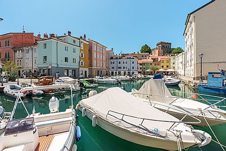 Muggia