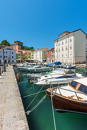 Muggia