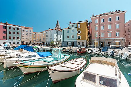 Muggia
