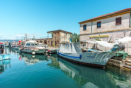 Muggia