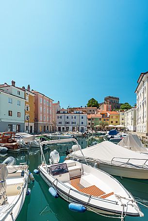 Muggia