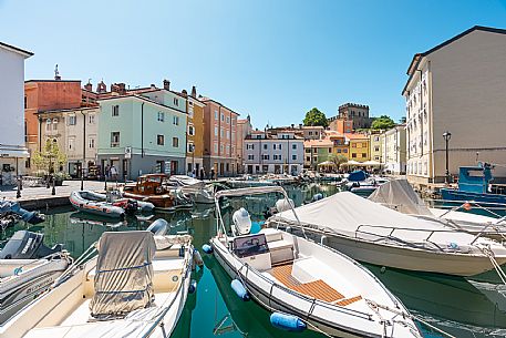 Muggia