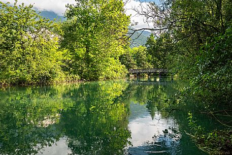 Palù di LIvenza