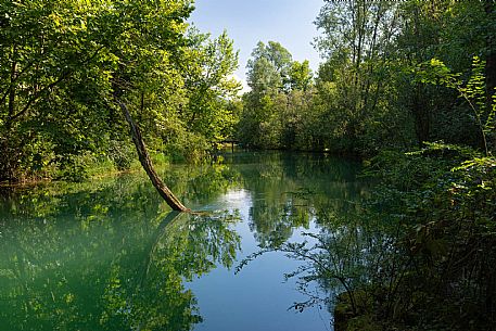 Palù di LIvenza