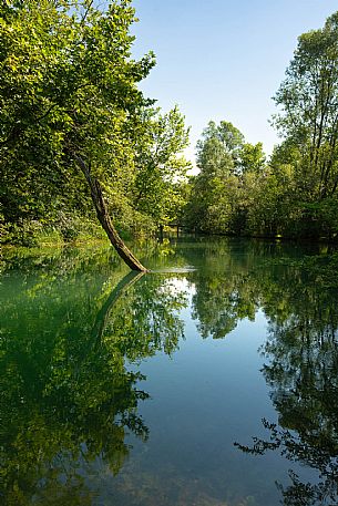 Palù di LIvenza